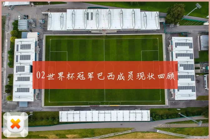 02世界杯冠军巴西成员现状回顾