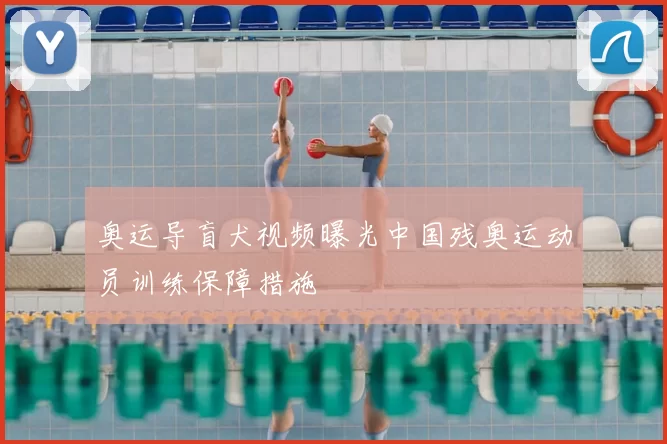 奥运导盲犬视频曝光中国残奥运动员训练保障措施