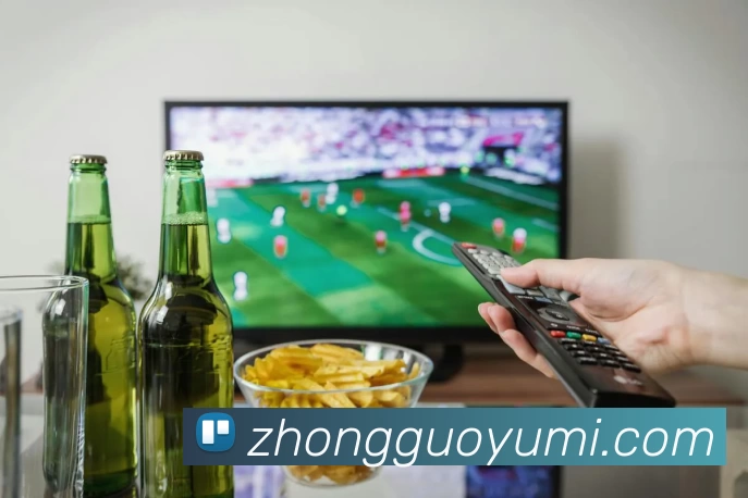 App Interface Preview