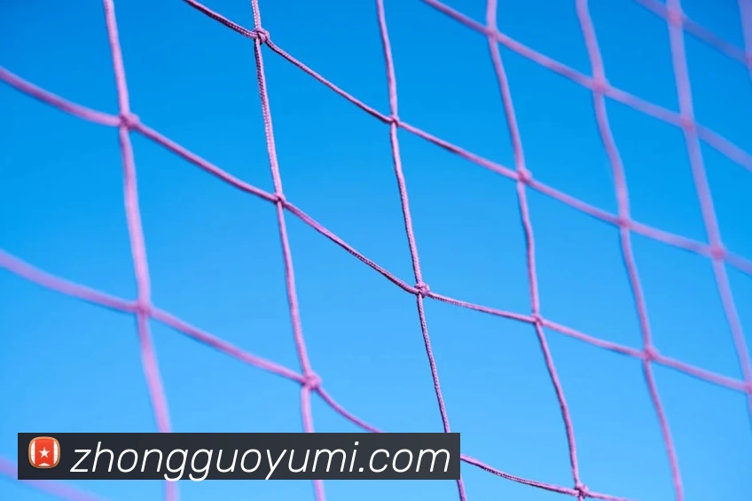 奇异果体育官网APP 封面图